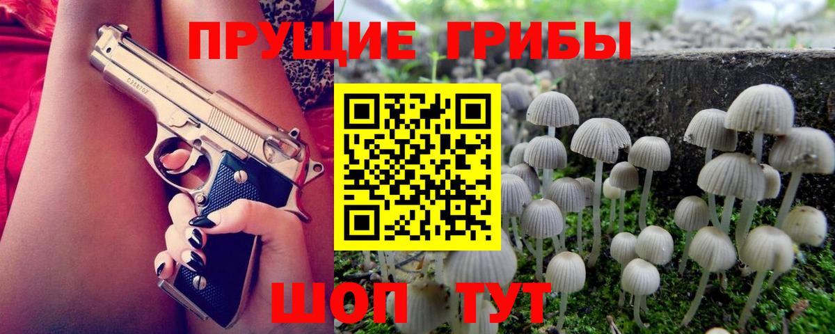 Псилоцибиновые грибы мицелий Ростов-на-Дону