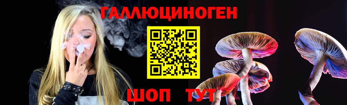 Ростов-на-Дону  Галлюциногенные грибы Psilocybe  Вход с VPN 